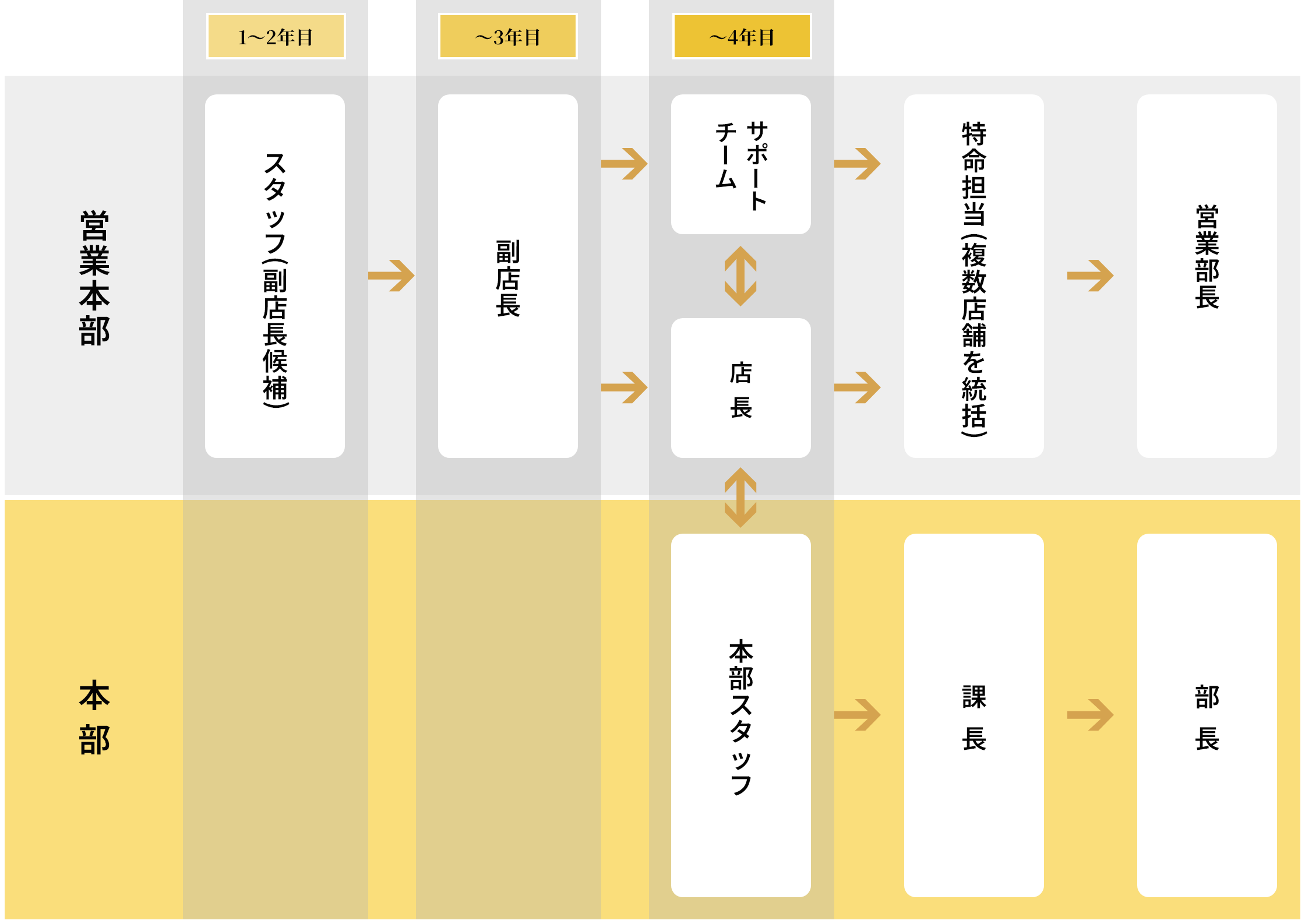 営業本部と本部それぞれのキャリアパスを示す図。営業本部はスタッフから副店長、店長・サポートチームを経て特命担当や営業部長へ、本部は本部スタッフから課長、部長へ進む流れを示している。